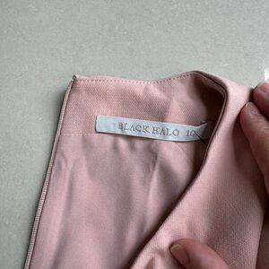 Black Halo Sheath Dress
•   Pink, Ruffle Embellishment, Sleeveless w/ Crew neck